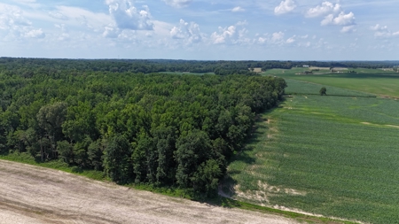 Warrick County Indiana Land For Sale - image 7