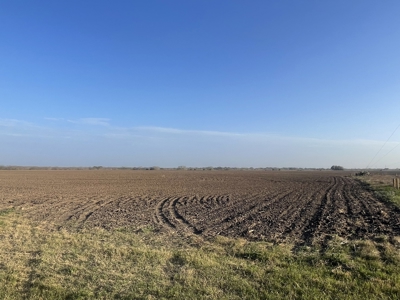Acreage for Sale in St Paul, TX - image 2
