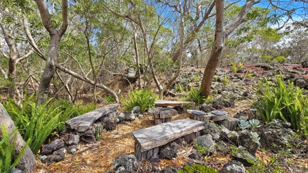 Sustainable 4-acre retreat w/4 BR workshop & organic gardens in Hawaii - image 32