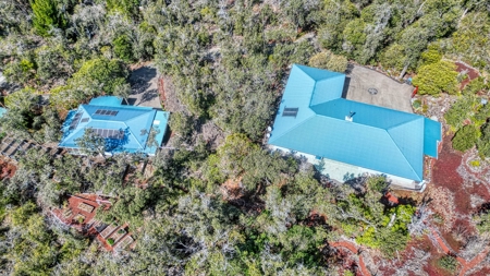 Sustainable 4-acre retreat w/4 BR workshop & organic gardens in Hawaii - image 1