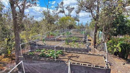 Sustainable 4-acre retreat w/4 BR workshop & organic gardens in Hawaii - image 35