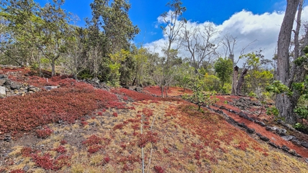 Sustainable 4-acre retreat w/4 BR workshop & organic gardens in Hawaii - image 33