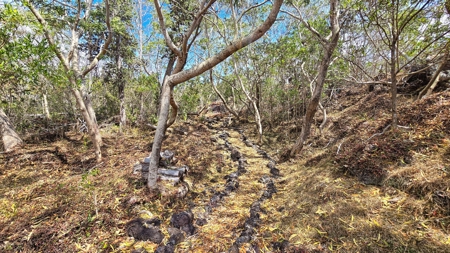 Sustainable 4-acre retreat w/4 BR workshop & organic gardens in Hawaii - image 45