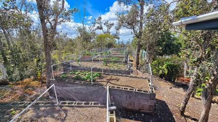 Sustainable 4-acre retreat w/4 BR workshop & organic gardens in Hawaii - image 16