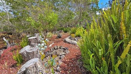 Sustainable 4-acre retreat w/4 BR workshop & organic gardens in Hawaii - image 30