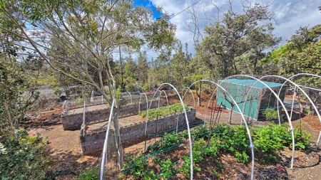 Sustainable 4-acre retreat w/4 BR workshop & organic gardens in Hawaii - image 17