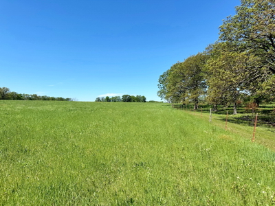 Cedar County Missouri Pasture Land For Sale - image 15