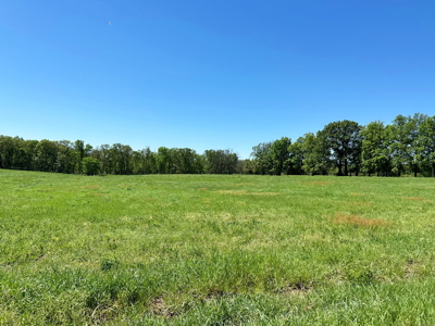 Cedar County Missouri Pasture Land For Sale - image 16