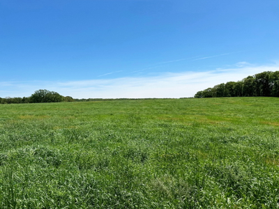 Cedar County Missouri Pasture Land For Sale - image 11