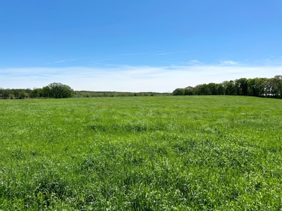 Cedar County Missouri Pasture Land For Sale - image 4