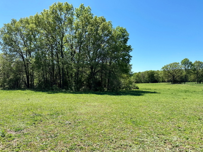 Cedar County Missouri Pasture Land For Sale - image 18