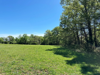 Cedar County Missouri Pasture Land For Sale - image 19