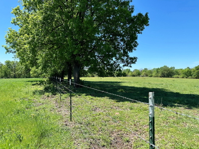 Cedar County Missouri Pasture Land For Sale - image 6