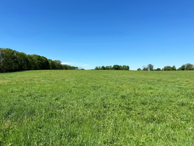Cedar County Missouri Pasture Land For Sale - image 14