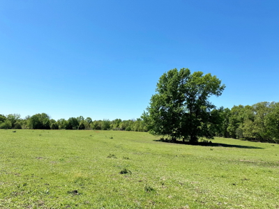 Cedar County Missouri Pasture Land For Sale - image 17
