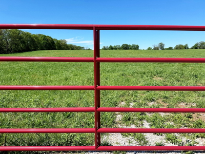 Cedar County Missouri Pasture Land For Sale - image 9