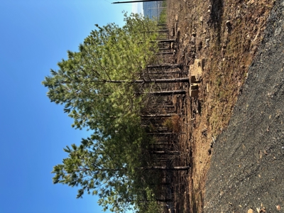 Nashoba, Ok Land For Sale - Hardy Creek Estates Tract 12 - image 12