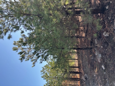 Nashoba, Ok Land For Sale - Hardy Creek Estates Tract 12 - image 14