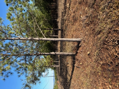 Nashoba, Ok Land For Sale - Hardy Creek Estates Tract 12 - image 11