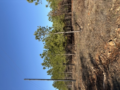 Nashoba, Ok Land For Sale - Hardy Creek Estates Tract 12 - image 13