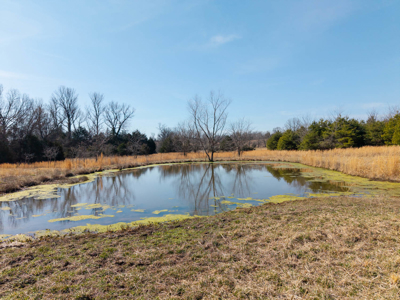 Ozarks Hobby/Homesteader Property For Sale Camp Arkansas - image 30