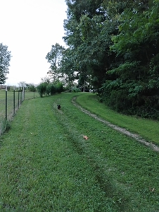 Ozarks Hobby/Homesteader Property 2 Cabins 22 Acres Camp AR - image 46