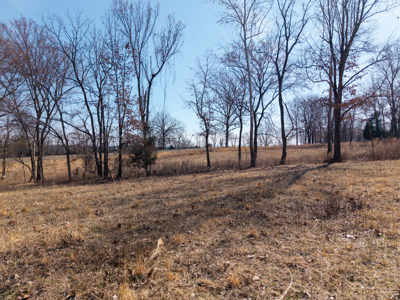 Ozarks Hobby/Homesteader Property For Sale Camp Arkansas - image 27