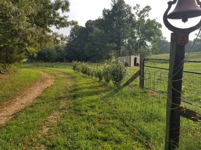 Ozarks Hobby/Homesteader Property For Sale Camp Arkansas - image 45
