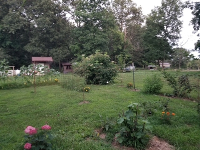 Ozarks Hobby/Homesteader Property For Sale Camp Arkansas - image 42