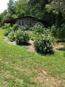 Ozarks Hobby/Homesteader Property For Sale Camp Arkansas - image 44