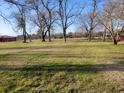 Half Acre Lot For Sale in Detroit TX, Red River County TX - image 7