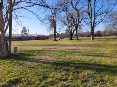Half Acre Lot For Sale in Detroit TX, Red River County TX - image 8