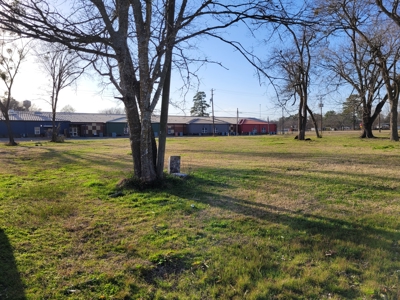 Half Acre Lot For Sale in Detroit TX, Red River County TX - image 9