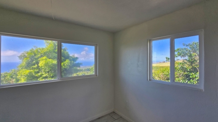 Big Island Coffee Farm: 34.89 Acres, Amazing Ocean Views & Water - image 34