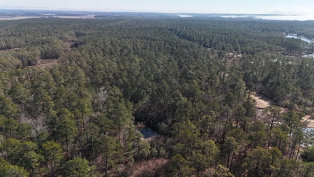 Waterfront Property for Sale, Hyde County NC - image 22