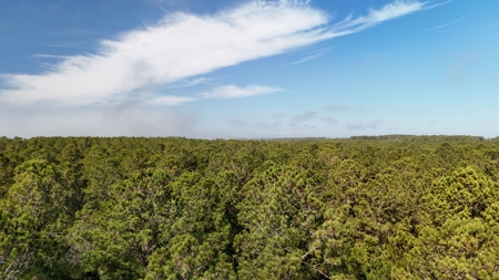 Waterfront Property for Sale, Hyde County NC - image 6