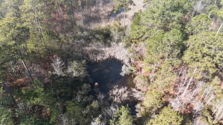 Waterfront Property for Sale, Hyde County NC - image 13