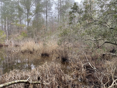 Waterfront Property for Sale, Hyde County NC - image 35