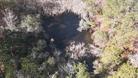 Waterfront Property for Sale, Hyde County NC - image 12