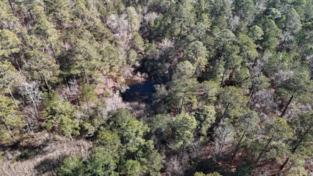 Waterfront Property for Sale, Hyde County NC - image 29