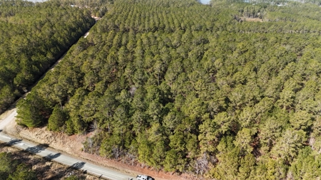 Waterfront Property for Sale, Hyde County NC - image 8