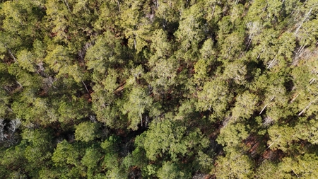 Waterfront Property for Sale, Hyde County NC - image 11
