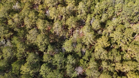 Waterfront Property for Sale, Hyde County NC - image 10
