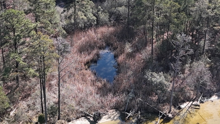 Waterfront Property for Sale, Hyde County NC - image 28