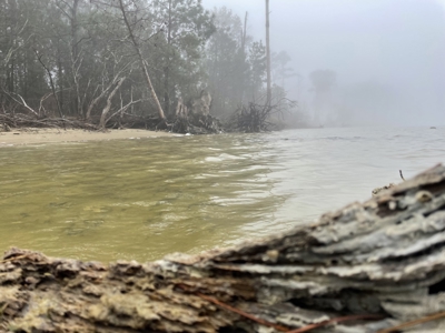 Waterfront Property for Sale, Hyde County NC - image 43