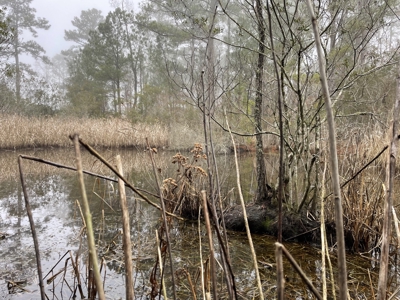 Waterfront Property for Sale, Hyde County NC - image 40