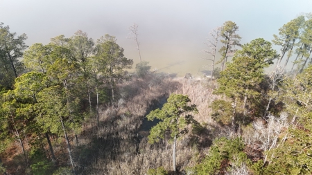 Waterfront Property for Sale, Hyde County NC - image 14