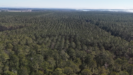 Waterfront Property for Sale, Hyde County NC - image 31