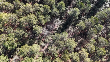 Waterfront Property for Sale, Hyde County NC - image 33