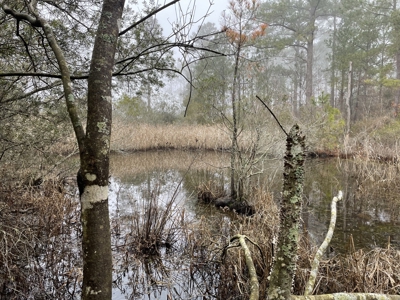 Waterfront Property for Sale, Hyde County NC - image 34